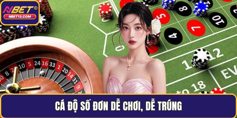 Cá độ số đơn dễ chơi, dễ trúng